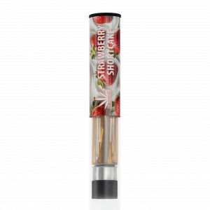 Strawberry Shortcake V2 2 PACK