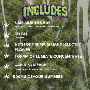 GREEN BUNDLE - Image 2