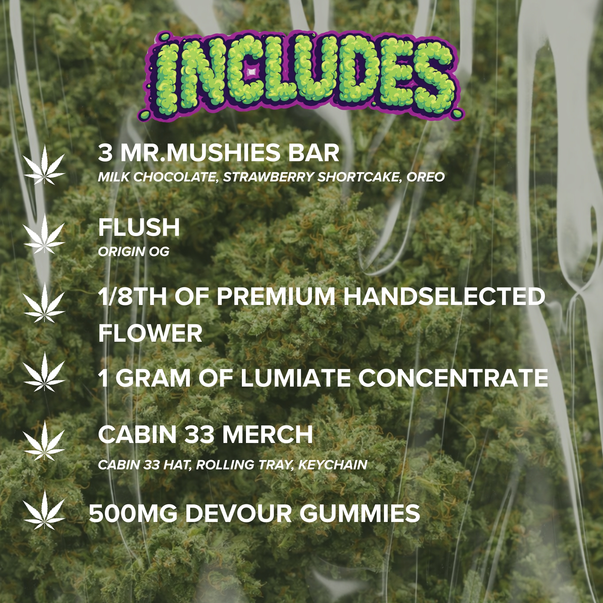 GREEN BUNDLE - Image 2